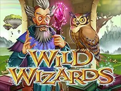Portada de Wild Wizards
